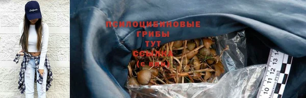 сатива Тобольск