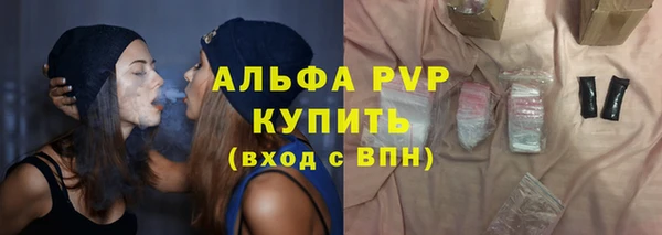 сатива Тобольск
