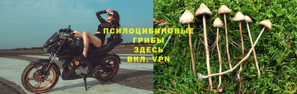 бошки Тихорецк