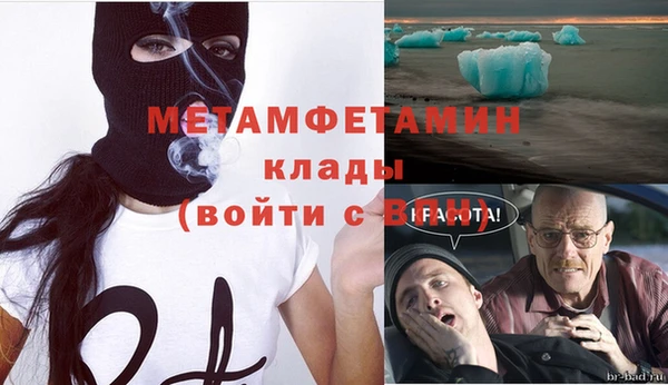 сатива Тобольск
