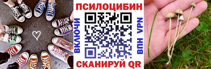 kraken зеркало  Орехово-Зуево  Галлюциногенные грибы Magic Shrooms 